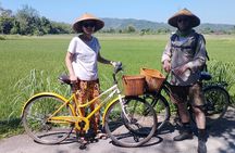Temples and Bike Tours in the Village 