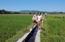 Temples and Bike Tours in the Village 