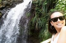 Paradise Cascades: Discover Grenada's Majestic Waterfalls Tour
