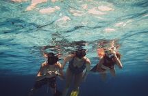 Acquarius Stingray City and Snorkel Tours