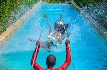COMBO: Zip Line, Cenote Blue Lagoon, Jungle River &Waterfall Pool