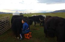 8 Days Gobi And Waterfall Tour