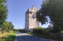 Private visit in an Irish Castle Home