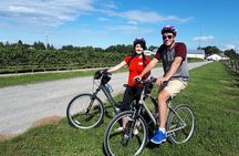 Niagara Wine and Cheese Bicycle Tour with Local Guide