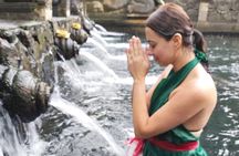 Bali Culture Tour - Water Blessing Experienced - All Inclusive