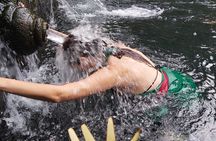 Bali Culture Tour - Water Blessing Experienced - All Inclusive