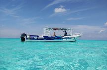 Private Tour in Cozumel El Cielo Sandbar and Reef Snorkeling