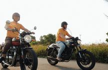 Da Nang to My Son Sanctuary: Moto Trip Adventure 