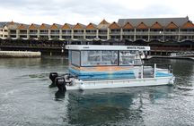 1 Hour Deluxe Scenic Dolphin Cruise