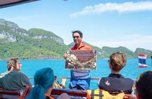 Angthong National Marine Park by Highsea Tour Official