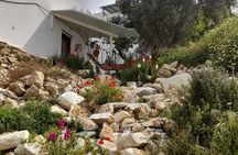 Riverbank Adventure in Naxos (Kinidaros - Eggares)