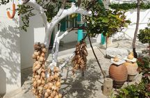 Riverbank Adventure in Naxos (Kinidaros - Eggares)