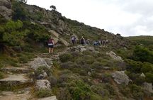 Naxos: Hike to the Top of the Cyclades - Mount Zas