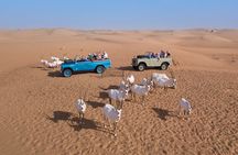 Dubai: Overnight Desert Safari and Sunrise Hot Air Balloon Ride