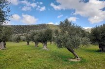 Naxos: Countryside Hike Among Villages & Byzantine Churches