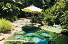 Emerald Pool: Jungle Tour, Private Full Day with Lunch