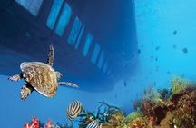 Dahab: Royal Seascope Submarine Guided Boat Tour 