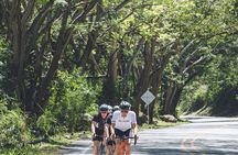Medellin Road Bike Tour