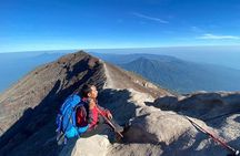 Mount Agung Sunrise Trekking Actual Summit