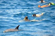 Dolphin House Snorkeling Fun in Hurghada