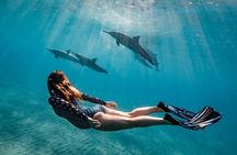 Dolphin House Snorkeling Fun in Hurghada
