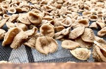 Bari Bike Tour with Pasta Experience