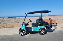 Golf Cart Rentals LSV in Carlsbad