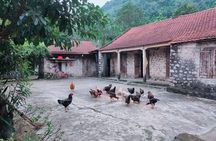2 Day Private Tour in Ninh Binh with Mini Resort or 4 Star Hotel