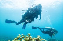 One Tank Scuba Diving in Kauai South Shore Certified Diver Only