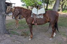 Private Horseback Riding at the foot of The Andes