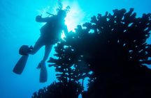 1 Tank Discover Scuba at Koloa Landing with No Experience needed