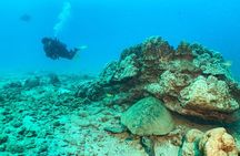 1 Tank Discover Scuba at Koloa Landing with No Experience needed