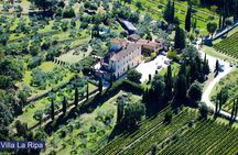 Luch Time Tasting & Winery Tour