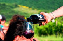 Luch Time Tasting & Winery Tour