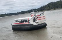 Hover Craft Scenic Tour in Talkeetna, Alaska
