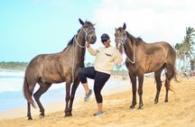 2-Hour Horseback Riding Tour at Sunset from Punta Cana