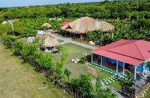 2-Hour Horseback Riding Tour at Sunset from Punta Cana