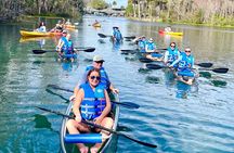 Silver Springs Clear Kayak Wildlife Experience