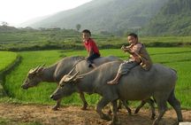 Luxury Mai Chau Day Tour from Hanoi