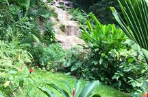 Fun tour for kids with River tubing and Konoko Falls