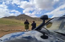 Wildlife Watching Day Tour at Hustai National Park