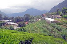 5-Day Private Farming Experience in Nayapul with Accommodation