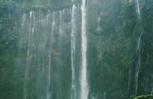 Private Tour Tumpaksewu - Bromo - Ijen 4D3N From Surabaya