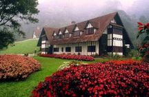Private Full-Day Cameron Highlands Nature Tour from Kuala Lumpur