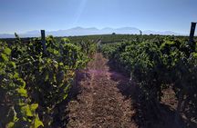 Half-Day Private Tour in Two Wineries and Archanes from Heraklion