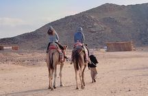 PRIVATE! 3-Hour or 5-Hour Quad Safari Tour to Sahara Desert