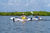 Small Group Glass Bottom Kayak Adventure- Cayman Islands 