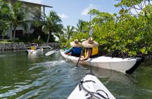 Small Group Glass Bottom Kayak Adventure- Cayman Islands 