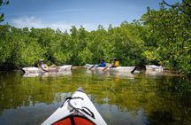 Small Group Glass Bottom Kayak Adventure- Cayman Islands 