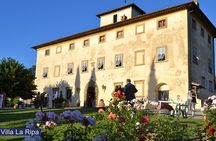 Tour through the vineyards and wine and olive oil tasting in Tuscany